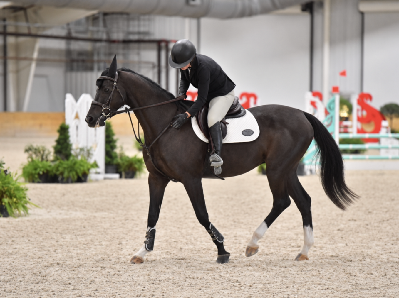 Caitlyn leaning forward to pat her horse while riding in an indoor arena